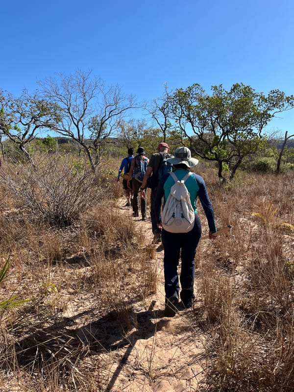 Grupo em fila numa trilha de terra no cerrado, sob céu azul