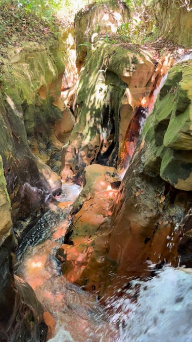 Água descendo entre pedras de arenito numa fenda coberta de mata